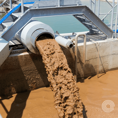 Sludge Reduction