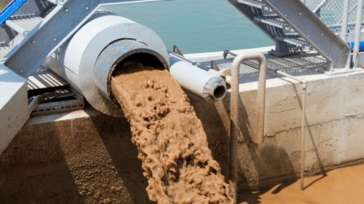 Wastewater Sludge